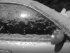 car door, 2-1-2011